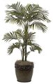 P-50900  4' Areca Palm - 22 Fronds - Green