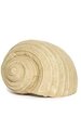 4 inches x 6.5 inches Polyresin Shell - Sand