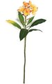 40" Plumeria Spray - 5 Orange Flowers - 4 Orange Buds - Bare Stem