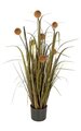 42" PVC Onion Grass with Pomp Balls - Brown/Olive - Weighted Base