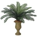 A-0080  44 inches Cycas Palm Cluster - 24 Large Fronds - 68 inches Width - Tutone Green