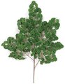 44" Ginkgo Branch - 332 Leaves - Green - FIRE RETARDANT