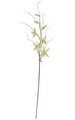 44 inches Lily Orchid Stem - 5 Flowers - 3 Buds - Green/Cream