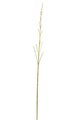 46 inches Plastic Bamboo Twig - Beige