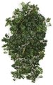 48 inches Grape Ivy Bush - 639 Green Leaves- FIRE RETARDANT