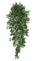 48" Mini Philodendron Bush - 547 Leaves - Green