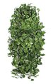 48 inches Pothos Bush - 456 Variegated Green/Cream Leaves - FIRE RETARDANT