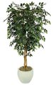 5 feet Ficus Tree - Natural Trunks - 1,140 Leaves - Green
