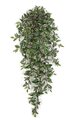 50 inches Wandering Jew Bush - 547 Leaves - Green/Cream/Pink