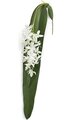 53 inches Foam White Orchid with Big Leaf - Soft Touch - 2 Green Leaves