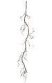 54" Paper Twig Vine - Natural Brown