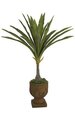 56 inches Dragon Tree - 25 Green Leaves