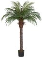 6 feet Date Palm Tree - Synthetic Trunk - 720 Leaves - 16 Fronds