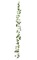 6 Feet  Long English Ivy Garland - Green Leaves -  5 Inch  Wide