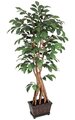 6 feet Potted Coffee Tree - Natural Wood Trunk - Tutone Green Leaves