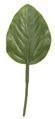 6 feet Small Banyan Leaf - 3 feet Leaf - 2.5 feet Width - Green - Special Order