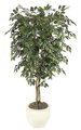 7' Ficus Tree - Natural Trunks - 1,824 Leaves - Green