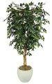 7 feet Ficus Tree - Natural Trunks - 1,824 Leaves - Green