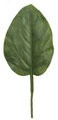 7'' Medium Banyan Leaf - 4.25'' Leaf - 3'' Width - Green - Special Order