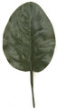 7.5'' Large Banyan Leaf - 5'' Leaf - 4'' Width - Green - Special Order