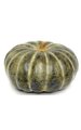 8 inches Foam Gourd - Weighted - Green/Yellow