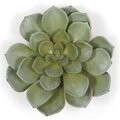 8 inches x 7 inches Plastic Succulent - Frosted Green