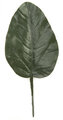 Extra Large Banyan Leaf - 6'' Leaf - 4'' Width - Green - Special Order