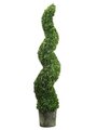 62" Outdoor Spiral Cedar Topiary in Dark Grey Pot Green