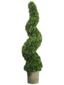 49" Outdoor Spiral Cedar Topiary in Dark Grey Pot Green