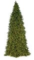 Earthflora's 12 Ft., 14 Ft., And 16 Ft. Slim Commercial Tower Trees