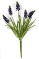 Earthflora's 12.5 Inch Grape Hyacinth Plant Fire Rated