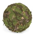 Earthflora's 13 Inch Moss Leaf Accent Ball