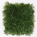Earthflora's 20 Inch X 3.5 Inch New Leaf Outdoor Japanese Boxwood Mat