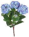 Earthflora's 21 Inch Blue Hydranga Bush