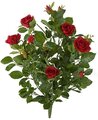 Earthflora's 28 Inch Rose Bushes - Red, Pink, And White