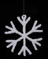 Earthflora's 8 Inch Frosted Snowflake Ornament