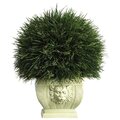 Plastic Potted Acorus Grass Topiary 