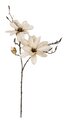 34 Inch Cream Magnolia Spray With Flowers