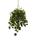 Philodendron Hanging Basket UV Resistant