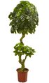 6’ Schefflera Artificial Tree UV Resistant (Indoor/Outdoor)