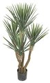 57" Plastic Outdoor Yucca Rostrata Plant - Synthetic Trunk - 235 Green Leaves