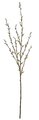 40 inches Pussy Willow Spray with Leaves - White