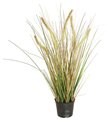 24 inches PVC Foxtail Indian wheat Fire Retardant Grass Bush - 5 Foxtails - Cream/Green- Weighted Base
