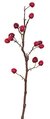 23 inches Cherry Spray - 13 Mixed Red - 12 inches Stem