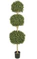 6.5 feet Outdoor Plastic Boxwood Triple Ball Topiary Tutone Green - Natural Trunk - 16 inches, 18 inches, and 20 inches Diameters