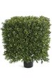 16 inches x 21 inches Plastic Outdoor Boxwood Square Topiary - Natural Trunk - 16 inches Width - Tutone Green