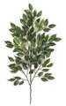 38 feet Outdoor Ficus Branch - 98 Leaves - Green