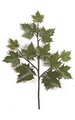 30 inches Outdoor Sugar Maple Branch - 12 Leaves - Green
