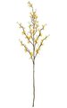 36" Forsythia Branch - Yellow Flowers - 15" Stem