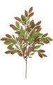 28 inches Young Chestnut Branch - 111 Leaves - Green/Red